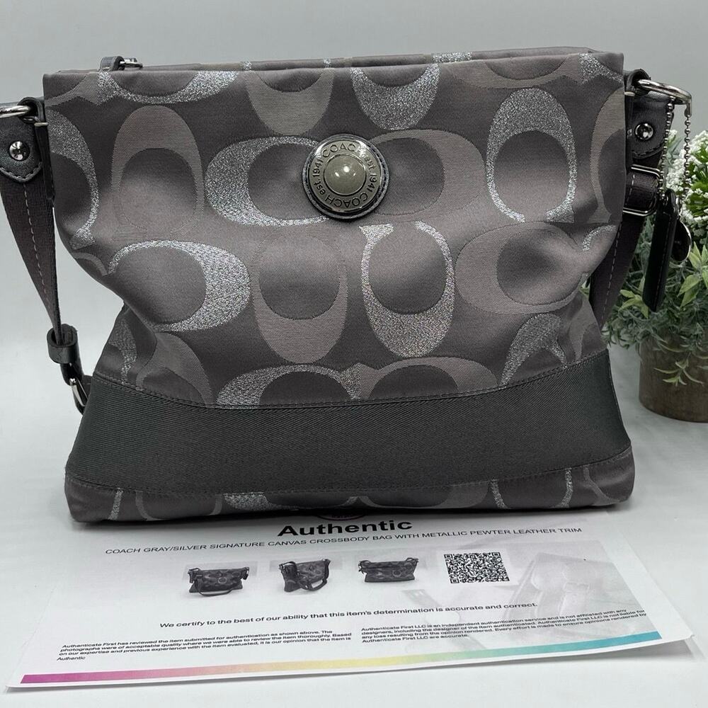 Coach Gray and Silver Crossbody Bag